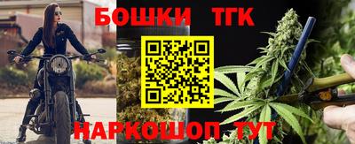 прущие грибы Новозыбков