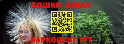 прущие грибы Новозыбков