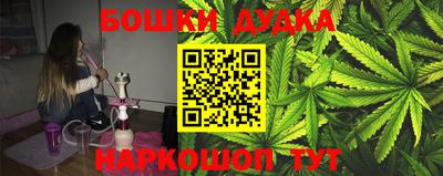 крисы Новодвинск