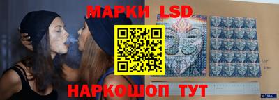 крисы Новодвинск