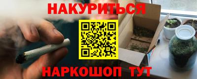 крисы Новодвинск