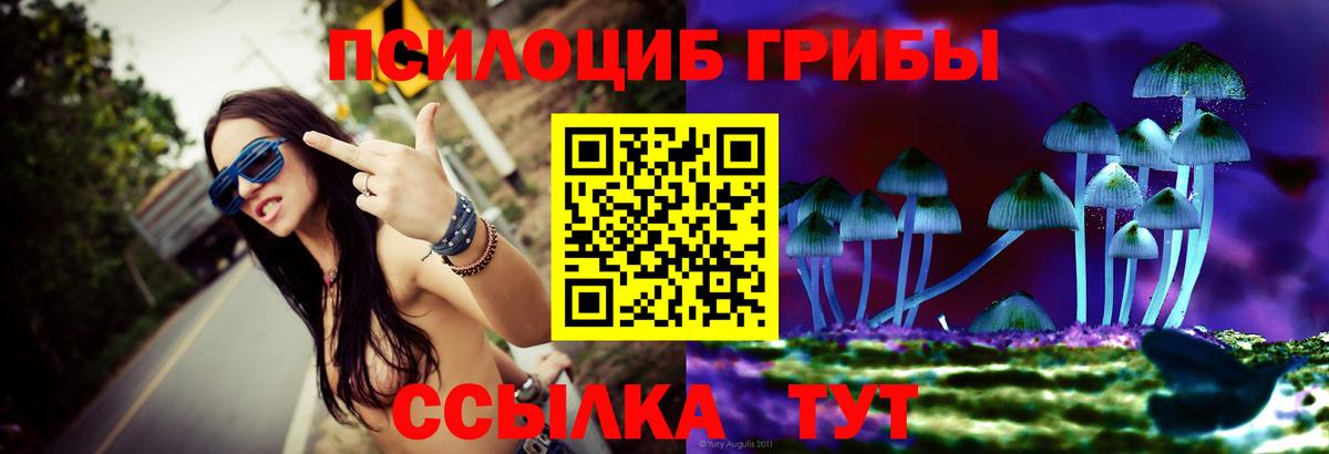 Псилоцибиновые грибы прущие грибы Нальчик